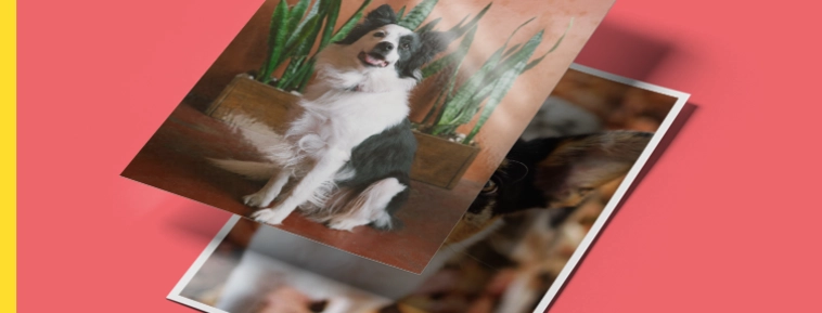 Klassikaline fotode ilmutamine